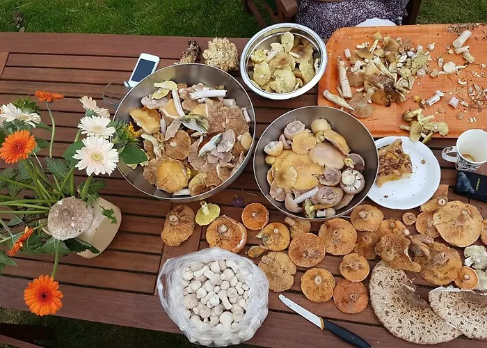 Przystan Bosmanat Дом отдыха *