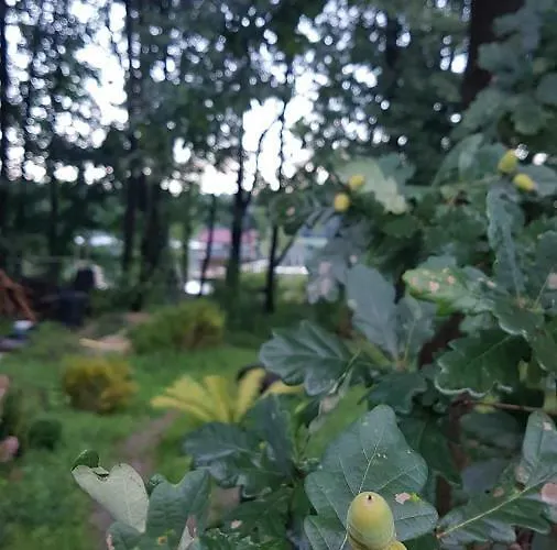 Дом отдыха Przystan Bosmanat *