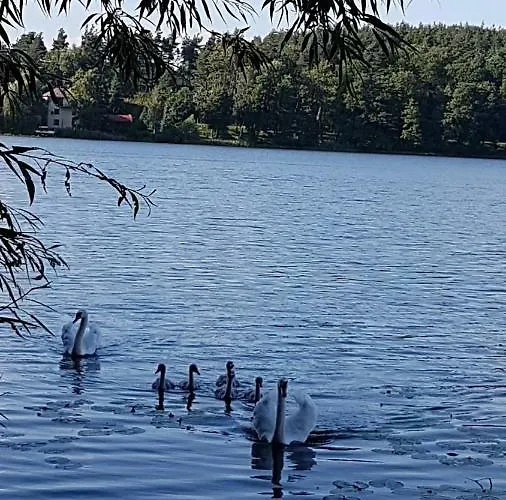 Przystan Bosmanat * Щецинек