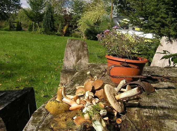 Przystan Bosmanat Дом отдыха *