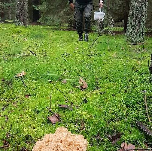 Дом отдыха Przystan Bosmanat