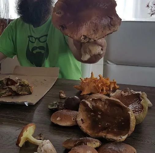 Przystan Bosmanat Дом отдыха